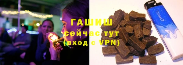 гидра Михайловка