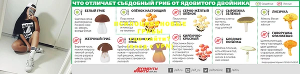 ПСИЛОЦИБИНОВЫЕ ГРИБЫ Абдулино