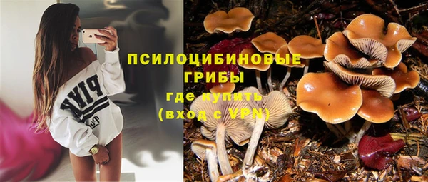 наркотики Алексин